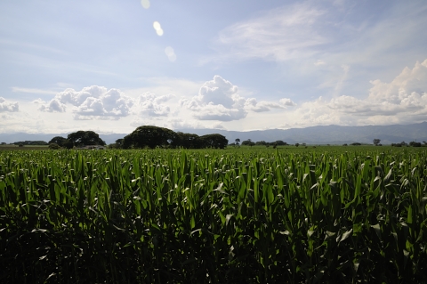 Dia 1 Medellin - Cali