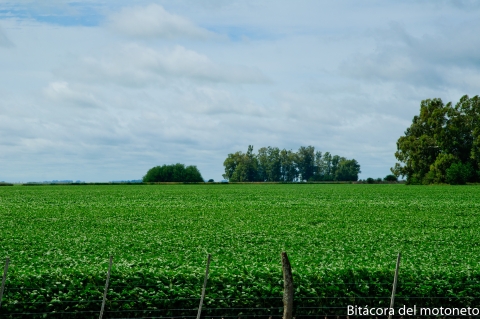 Día 1 Buenos Aires - Villa Mercedes