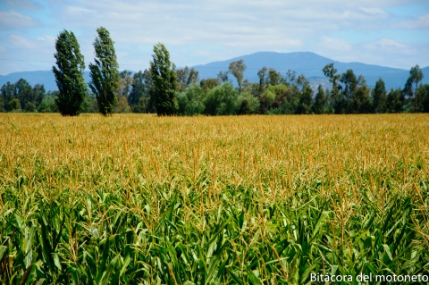 Día 106 Santiago - Chillán
