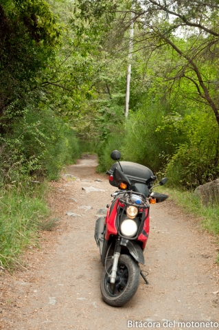 Estrecho camino que después se convirtió sendero para trecking