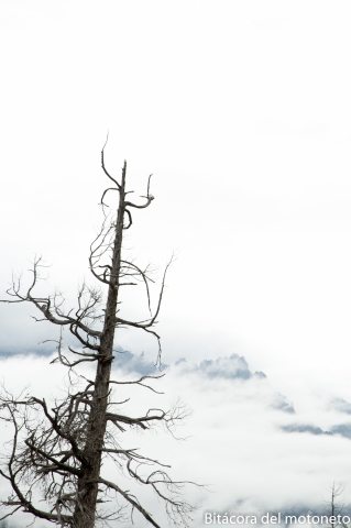 Hermosa vista del Bolson...