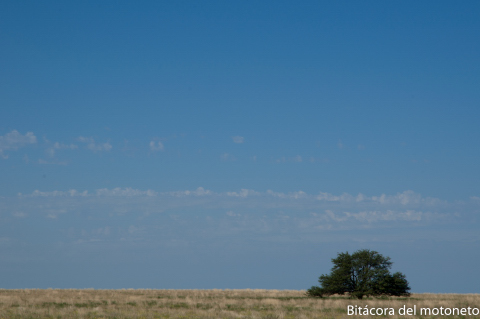 Dia 138 Rio Colorado - Azul. Y la moto sacó la mano