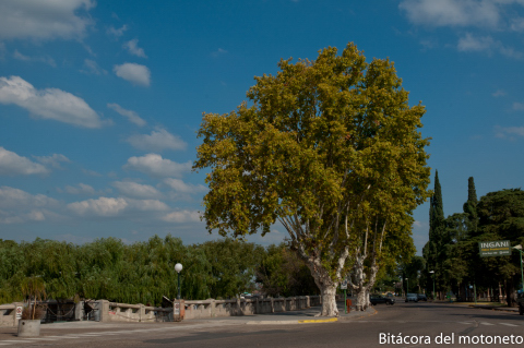 BsAs - Gualeguaychú - Santa Fe - Rosario - BsAs