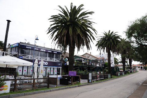 Día 154 Punta del Este