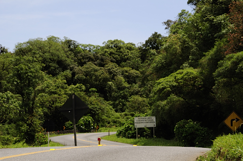 Día 173 Iguazú - Curitiba - Morretes