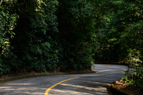 Vista Chinesa-20121228_155924