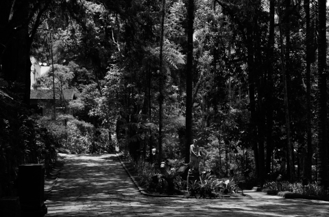 Petropolis-20121228_123600