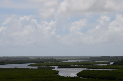 Día 205 Itacaré - Salvador