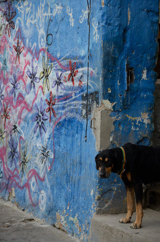 Día 213 Maceió - Recife