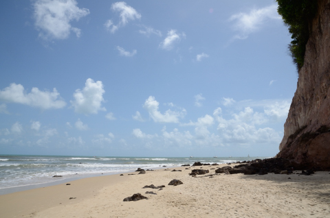 Día 217 Pipa - Natal (navidad)