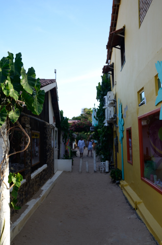 Día 222 Jeri Lagoa Paraiso