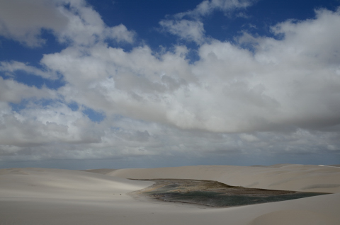 Con agua se vería mas bonito