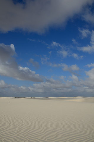 Dia 225-20130227_164100