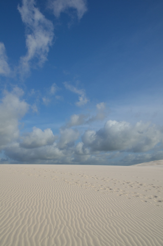 Dia 225-20130227_165033