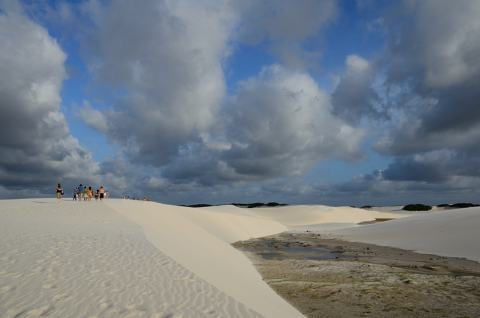 Migración turística al lado de un charco en formación