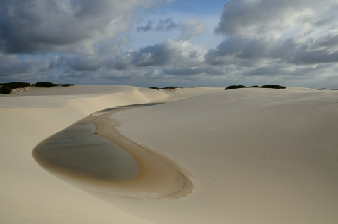 De a poquitos se va llenando