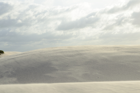 Viento en las dunas