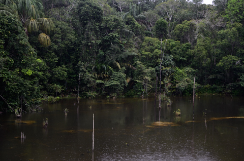 Día 243 Manaus - Presidente Figuereido