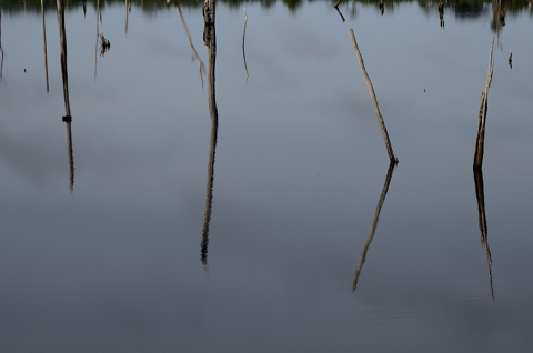 Dia 244 Presidente Figuereido - Boa Vista
