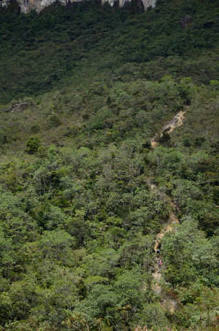 Subida al roraima, los punticos son personas