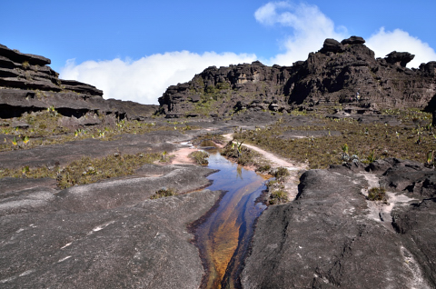 Nacimiento de río sabanero