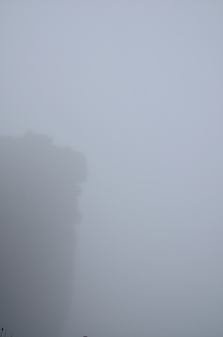 El Roraima entre la niebla