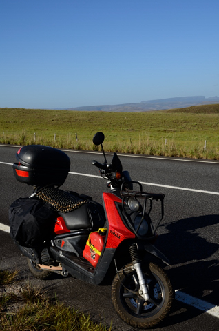 Día 256 Santa elena - Puerto Ordaz + la tarantula lampiño-anoréxica