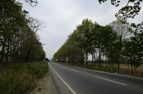 Día 263 Guanare - Cucuta