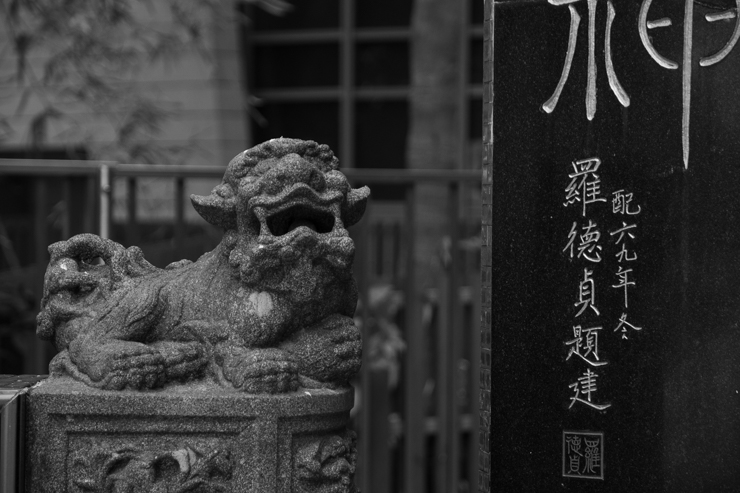 Perro en Tin Hau Temple