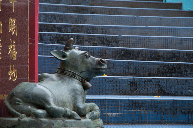 Vaca en Tin Hau Temple