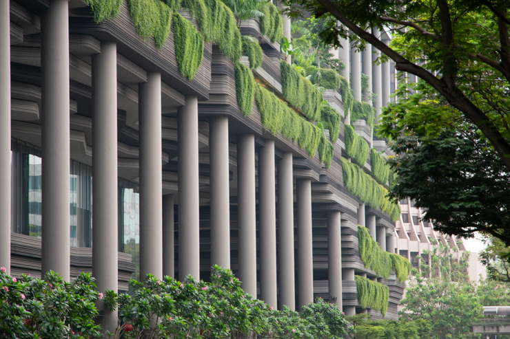 Singapur, el sueño de un arquitecto