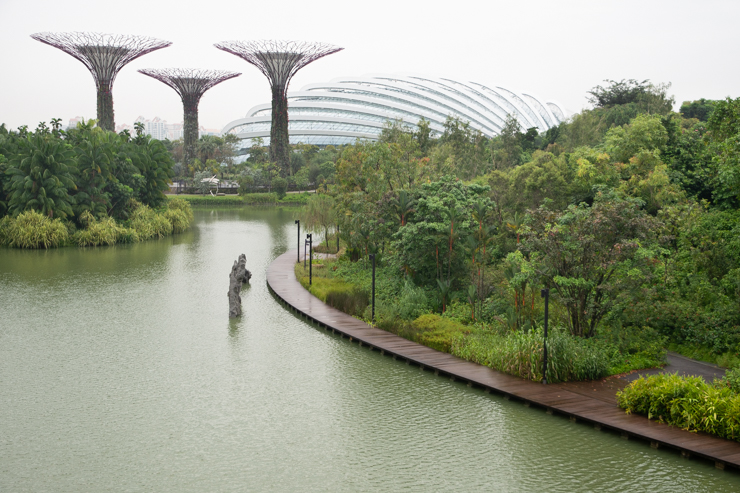 Es un bosque tropical. El clima es pegotudo
