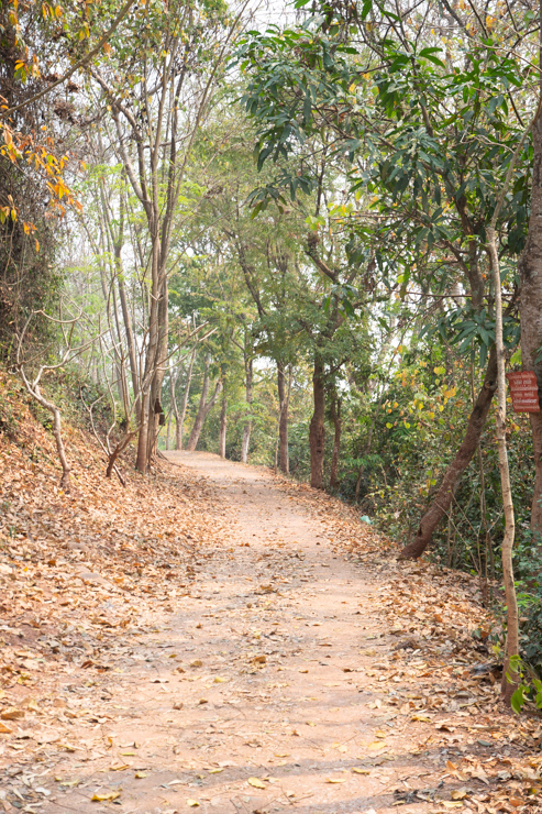 Camino hacia el templo del morro tutelar, Phousi