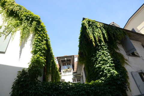 Basel-20140809_154120