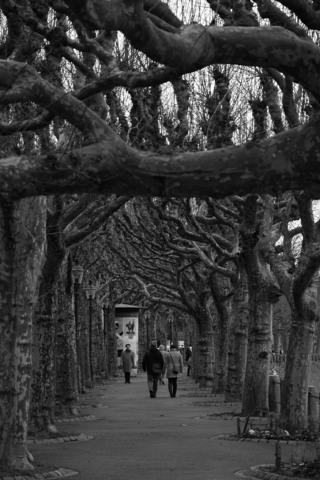 Basel-20150222_154440