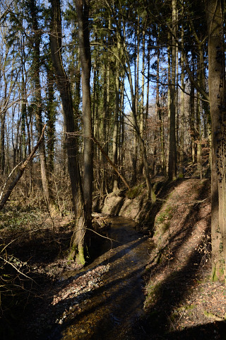 Basel-20150225_152920