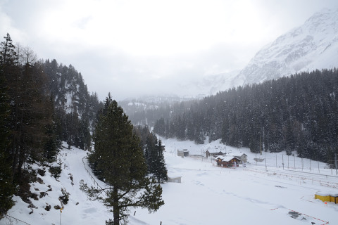 Bergün-20150304_100620_web