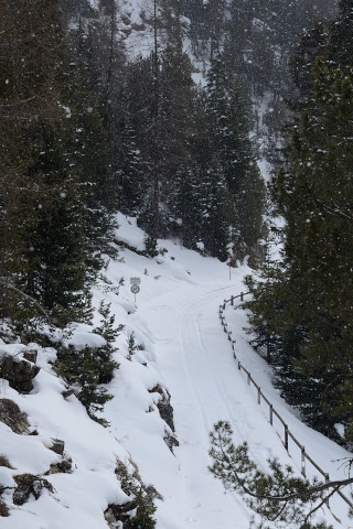 Bergün-20150304_100639_web