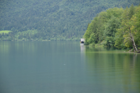 Bohinj