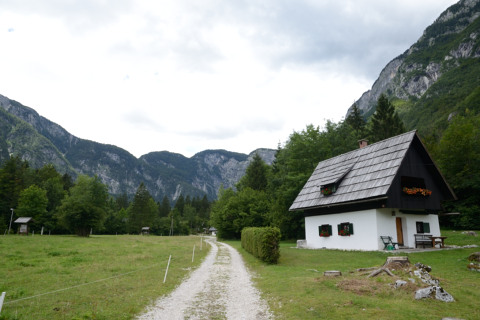 Bohinj-20140711_132922_web