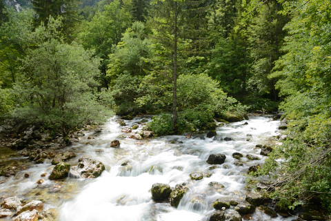 Bohinj-20140711_141414_web