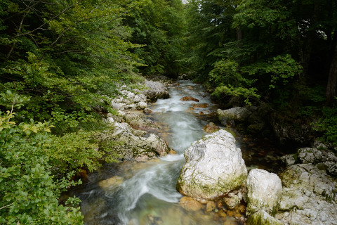 Bohinj-20140711_141427_web