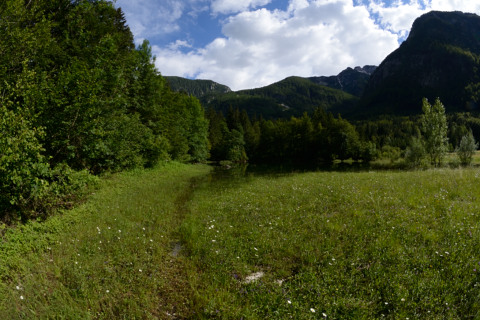 Bohinj-20140711_164602_web