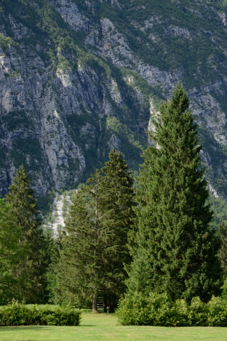 Bohinj-20140711_172318_web
