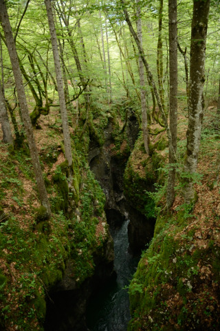 Bohinj-20140712_134854_web