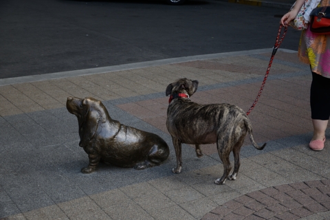 Budapest-20140520_113131