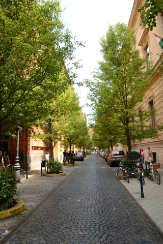 Budapest-20140521_053426