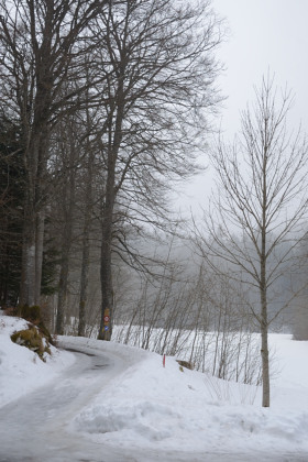 Creuxduvan-20150315_121647_web