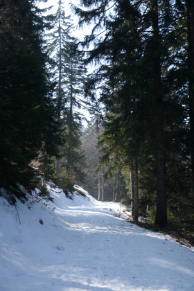 Creuxduvan-20150315_123921_web