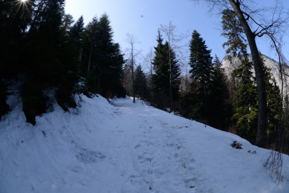 Creuxduvan-20150315_124754_web